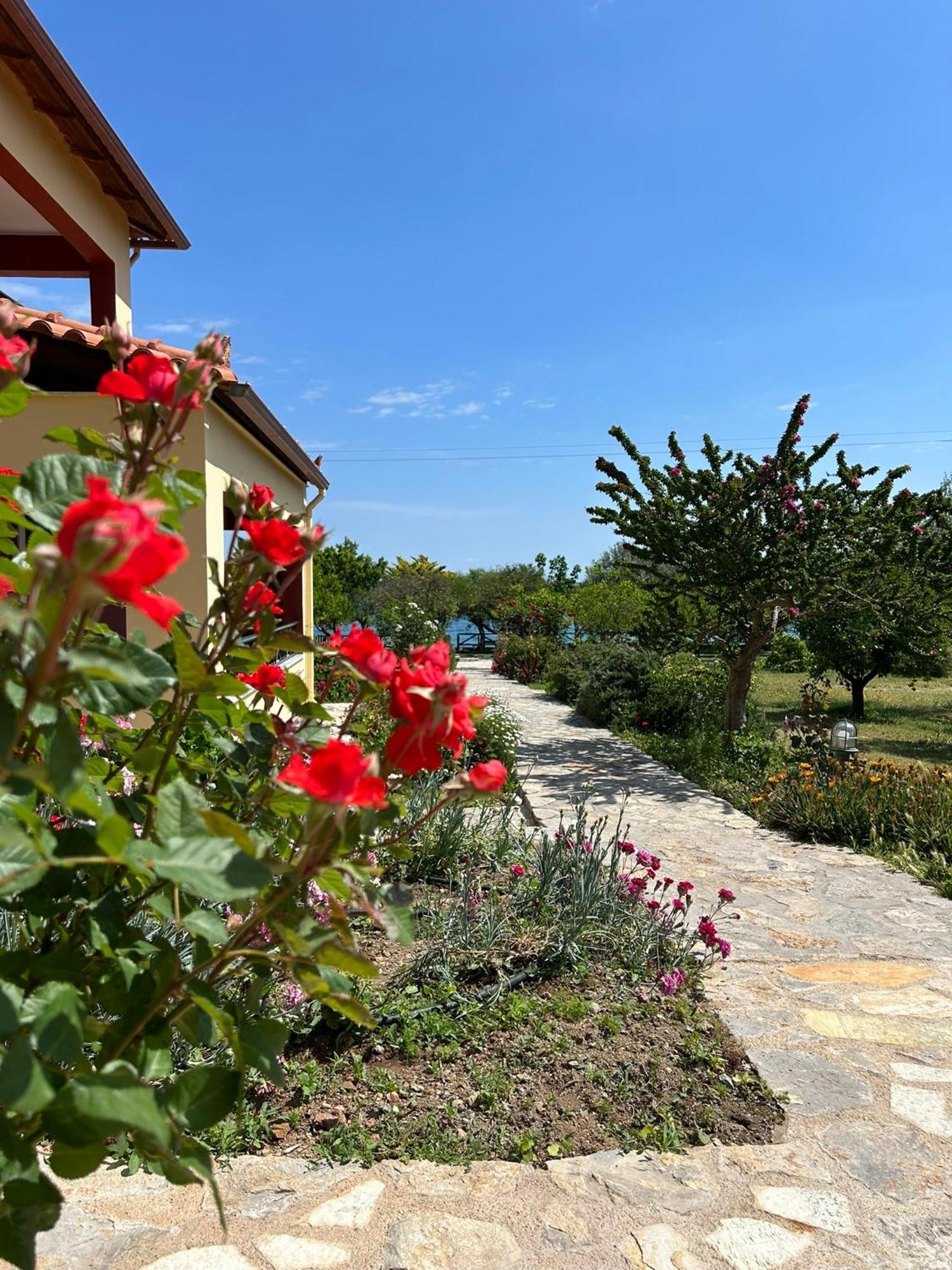 Magda Hotel Apartments Epidaurus Exterior photo