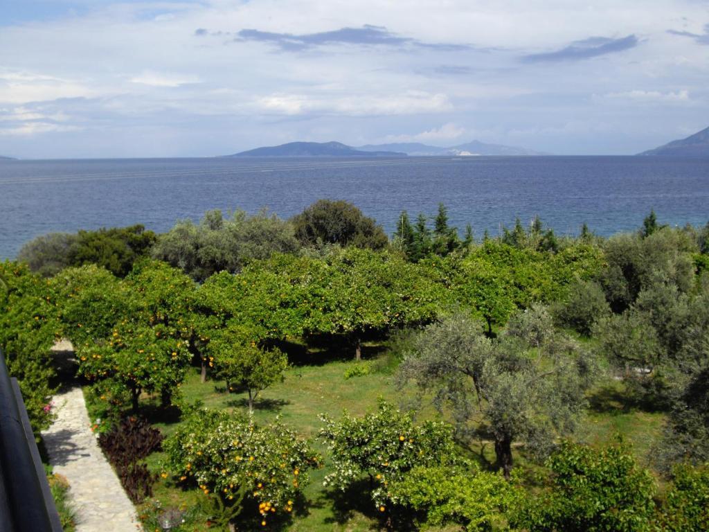 Magda Hotel Apartments Epidaurus Exterior photo